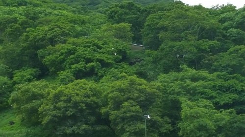 La Montaña image 15